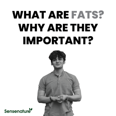 What are fats? Why are they important?